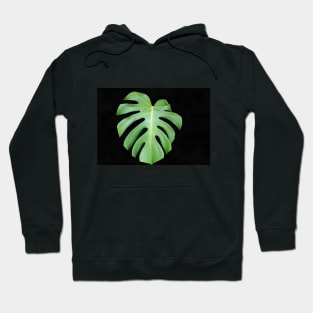 Bright green monstera leaf on black background closeup Hoodie